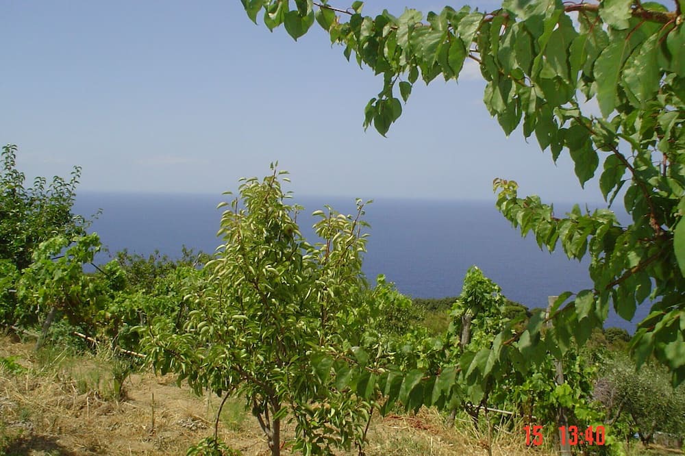 Photo of Outdoor in Zanca