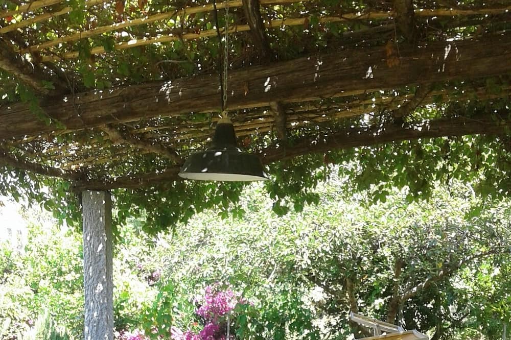 Photo of Outdoor in Zanca