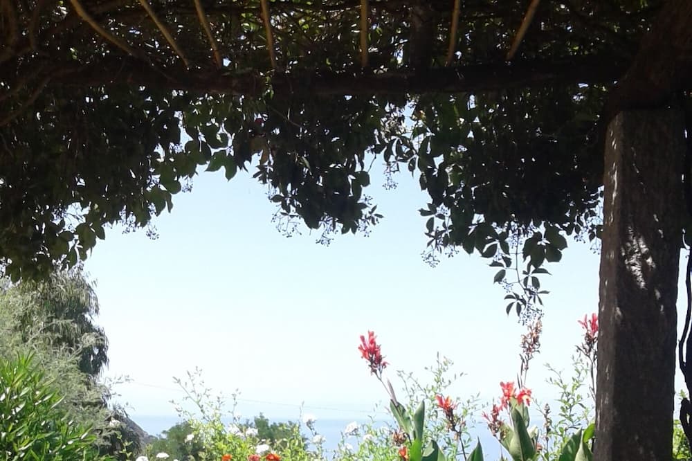 Photo of Outdoor in Zanca