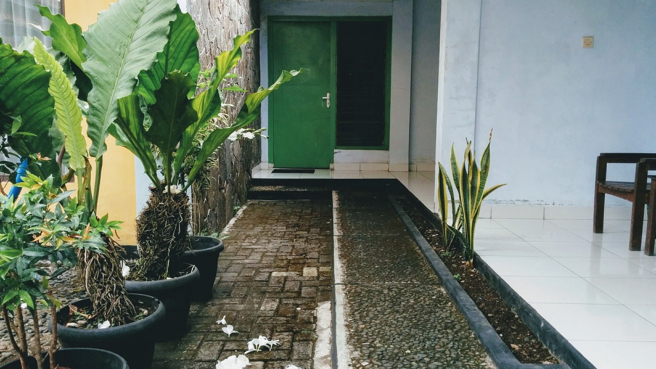 Photo of Outdoor in Purwokerto