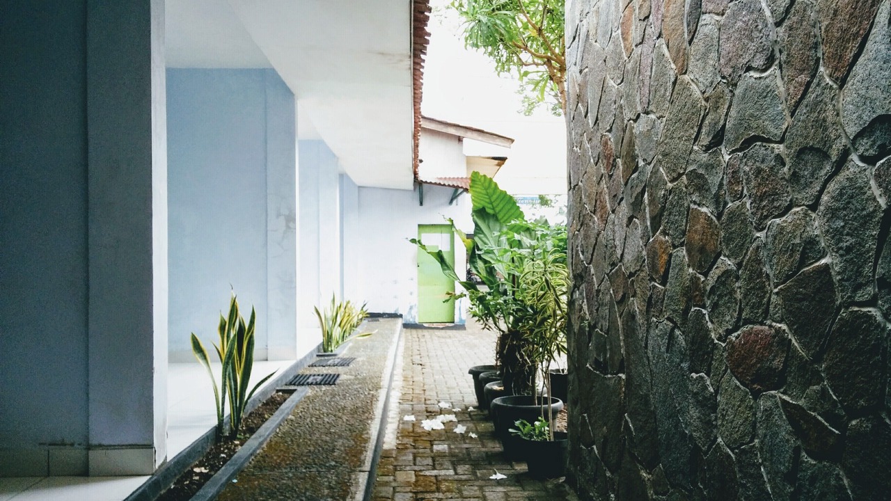 Photo of Outdoor in Purwokerto