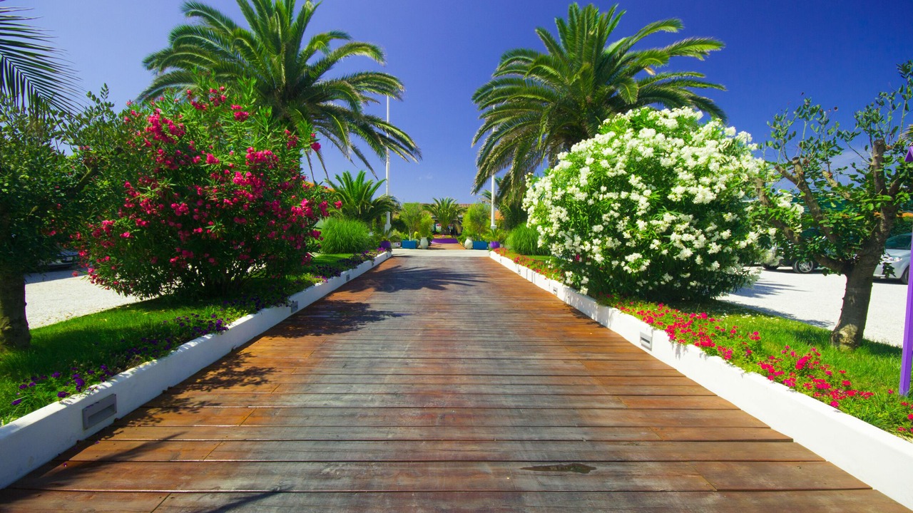 Photo of Outdoor in Lido di Camaiore