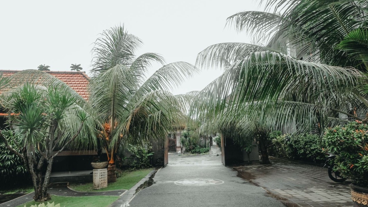 Photo of Outdoor in Denpasar Utara