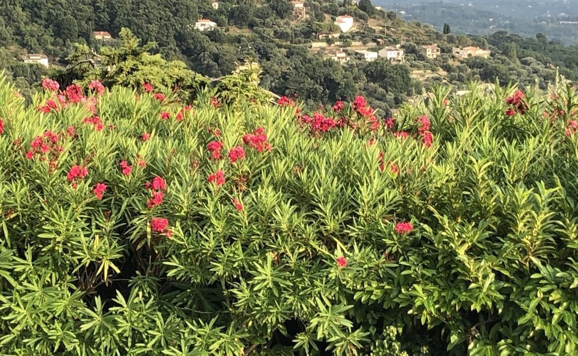 Photo of Outdoor in Magagnosc