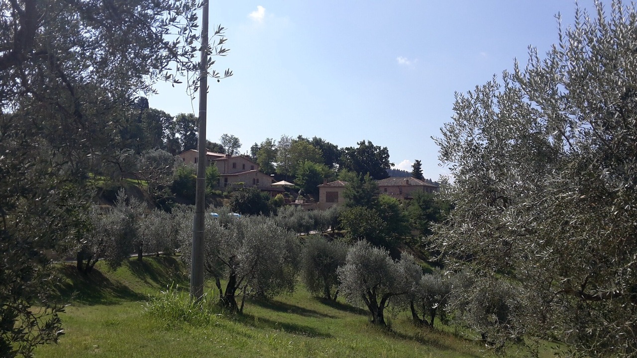 Photo of Others in Volterra