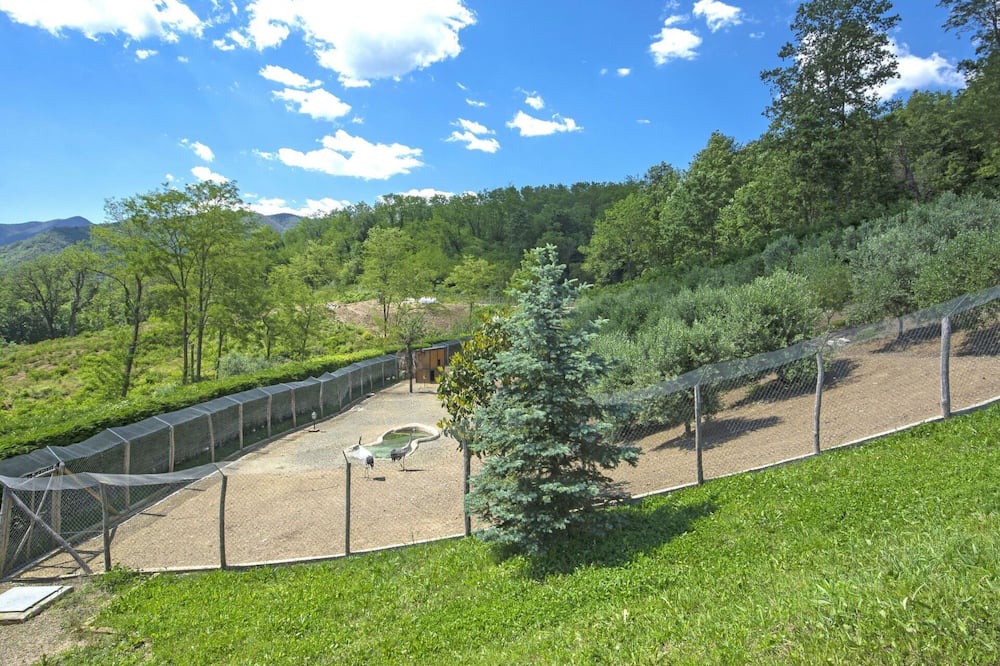 Photo of Others in Tresana