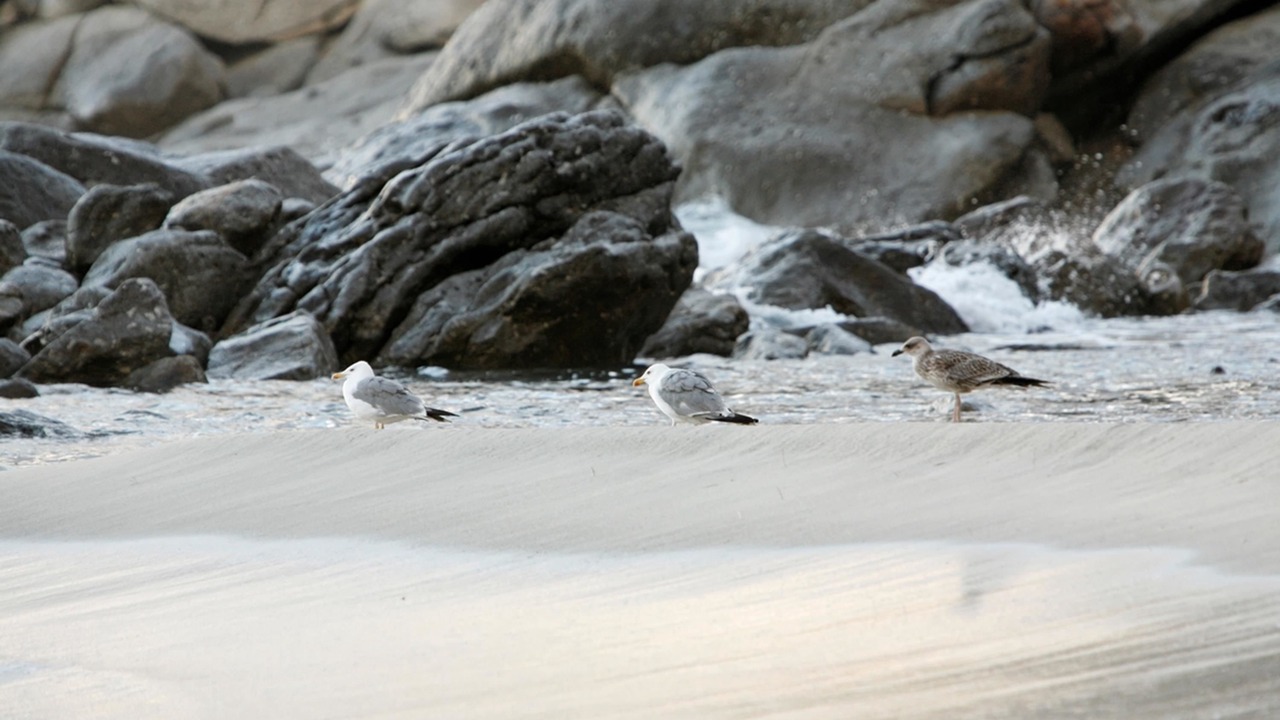 Photo of Others in Sant' Andrea