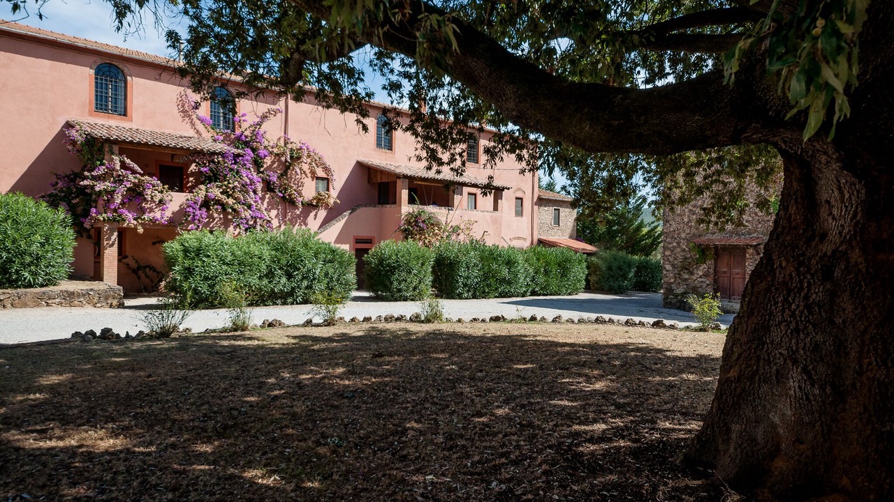 Photo of Outdoor in Campiglia Marittima