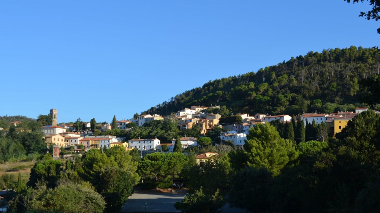 Photo of Others in Rosignano Marittimo