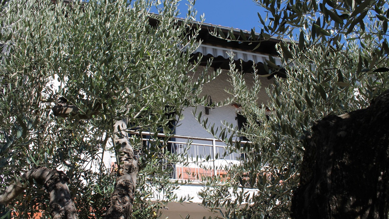 Photo of Outdoor in San Terenzo Monti