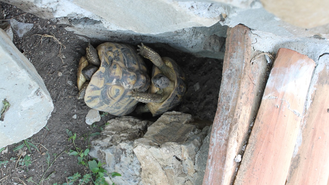 Photo of Outdoor in San Terenzo Monti