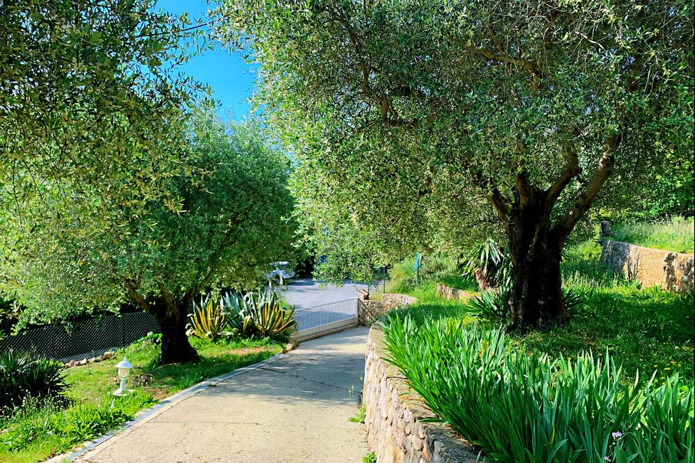 Photo of Outdoor in Gattieres