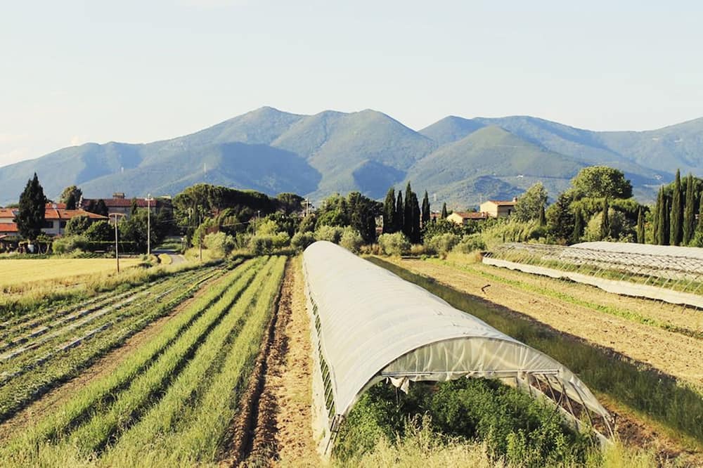 Photo of Others in Cascina