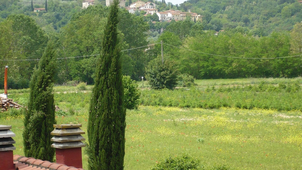 Photo of Outdoor in Reggello