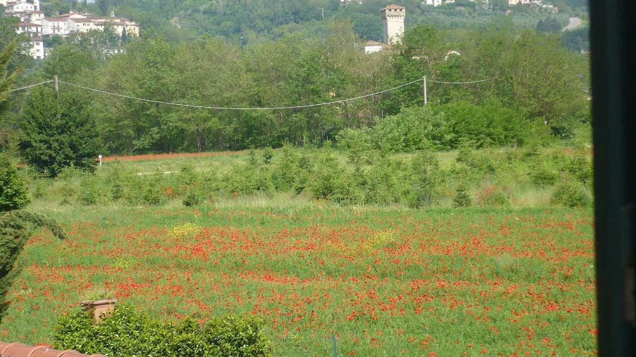 Photo of Others in Reggello