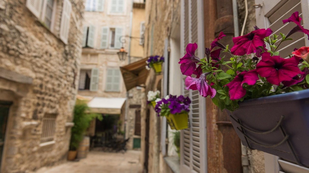 Photo of Others in Vence