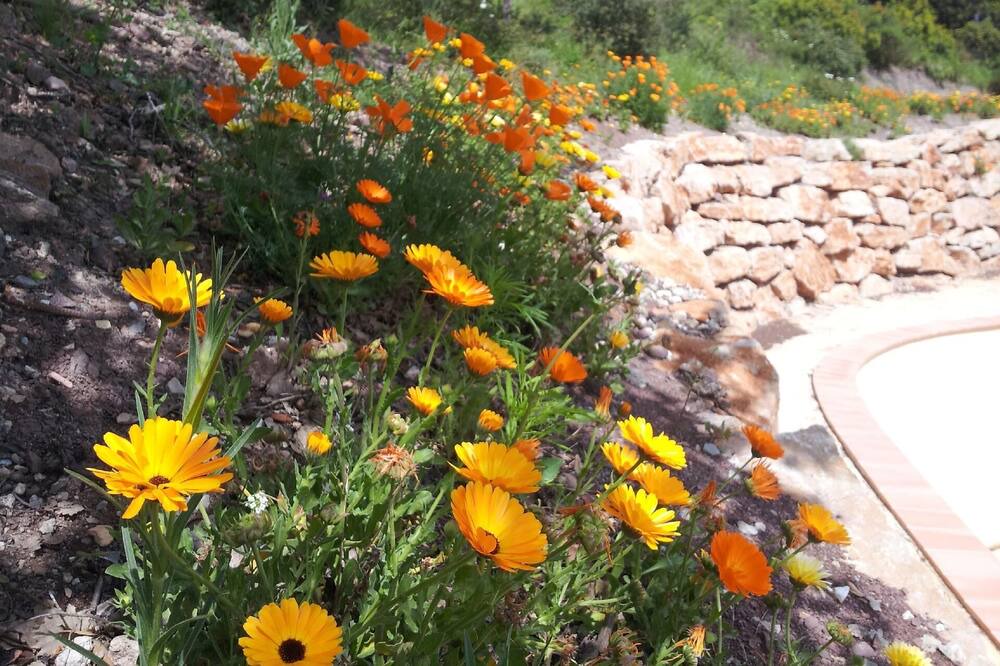 Photo of Outdoor in Les Adrets-de-l'Esterel
