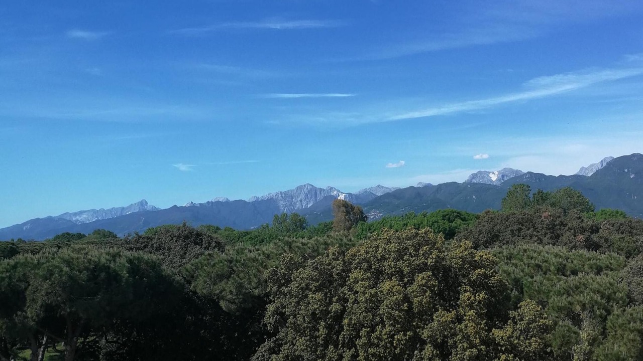 Photo of Outdoor in Viareggio