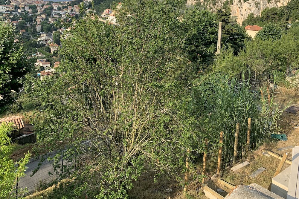 Photo of Outdoor in La Turbie