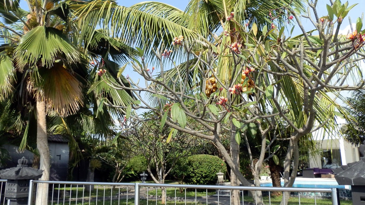 Photo of Outdoor in Kalisada