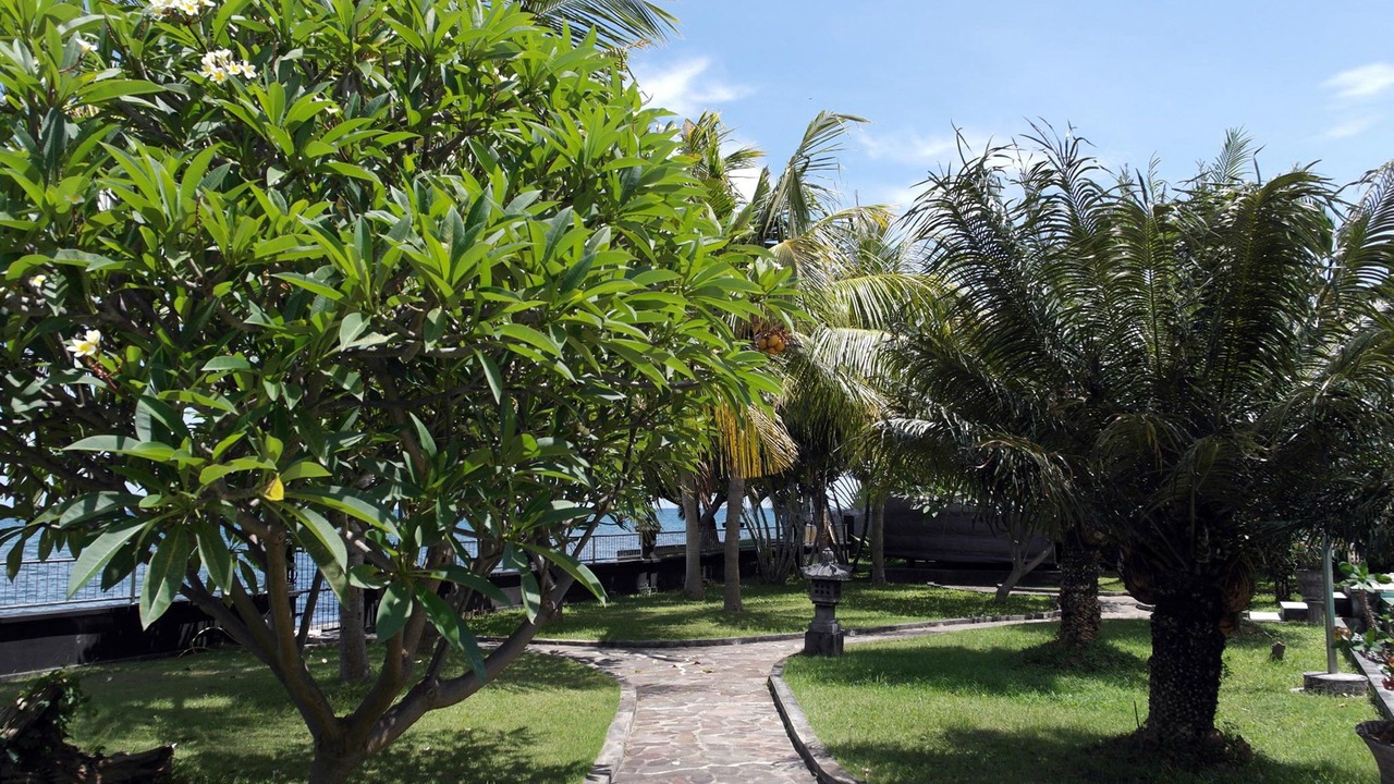 Photo of Outdoor in Kalisada