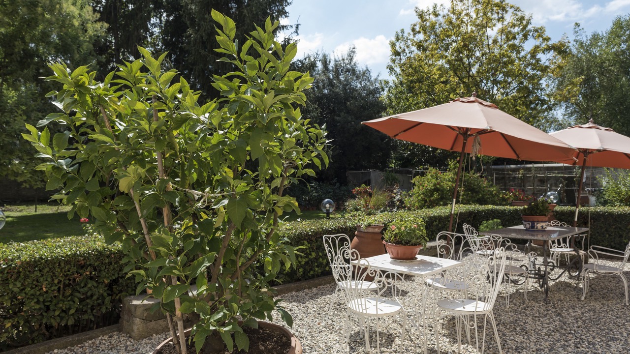 Photo of Outdoor in Lucca Historical Center