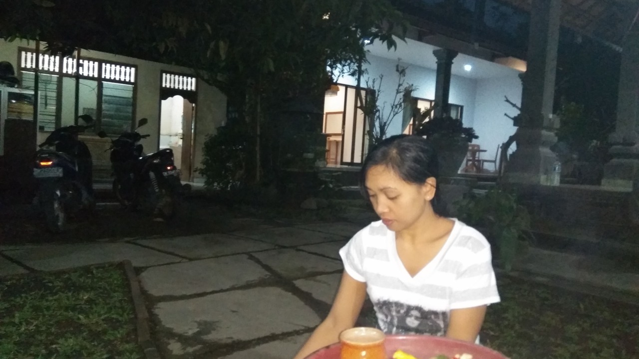 Photo of Others in Ubud City-Centre