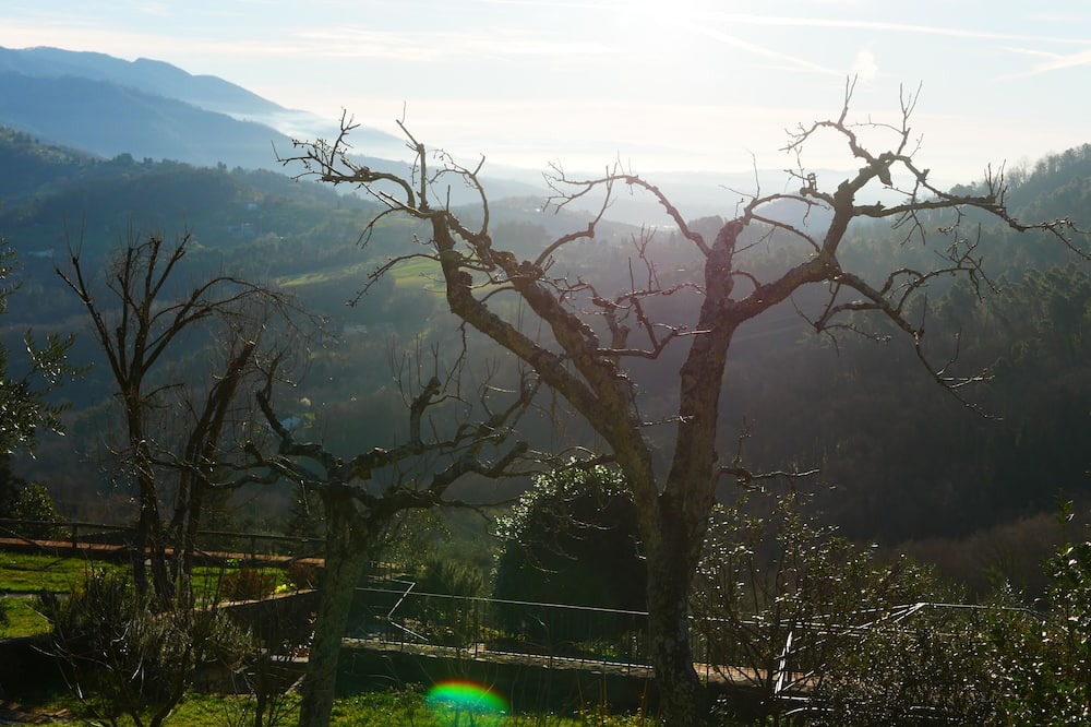 Photo of Outdoor in Villabuona