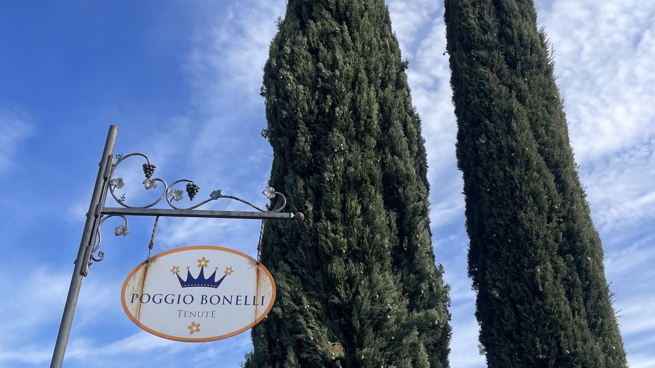 Photo of Outdoor in Castelnuovo Berardenga