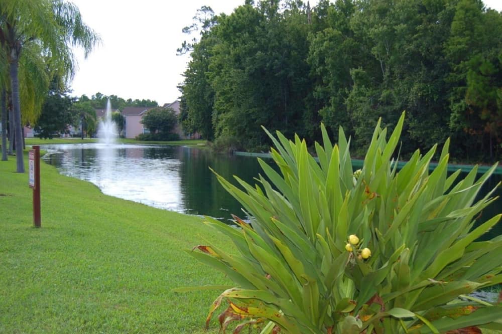 Photo of Outdoor in Royal Palm Bay