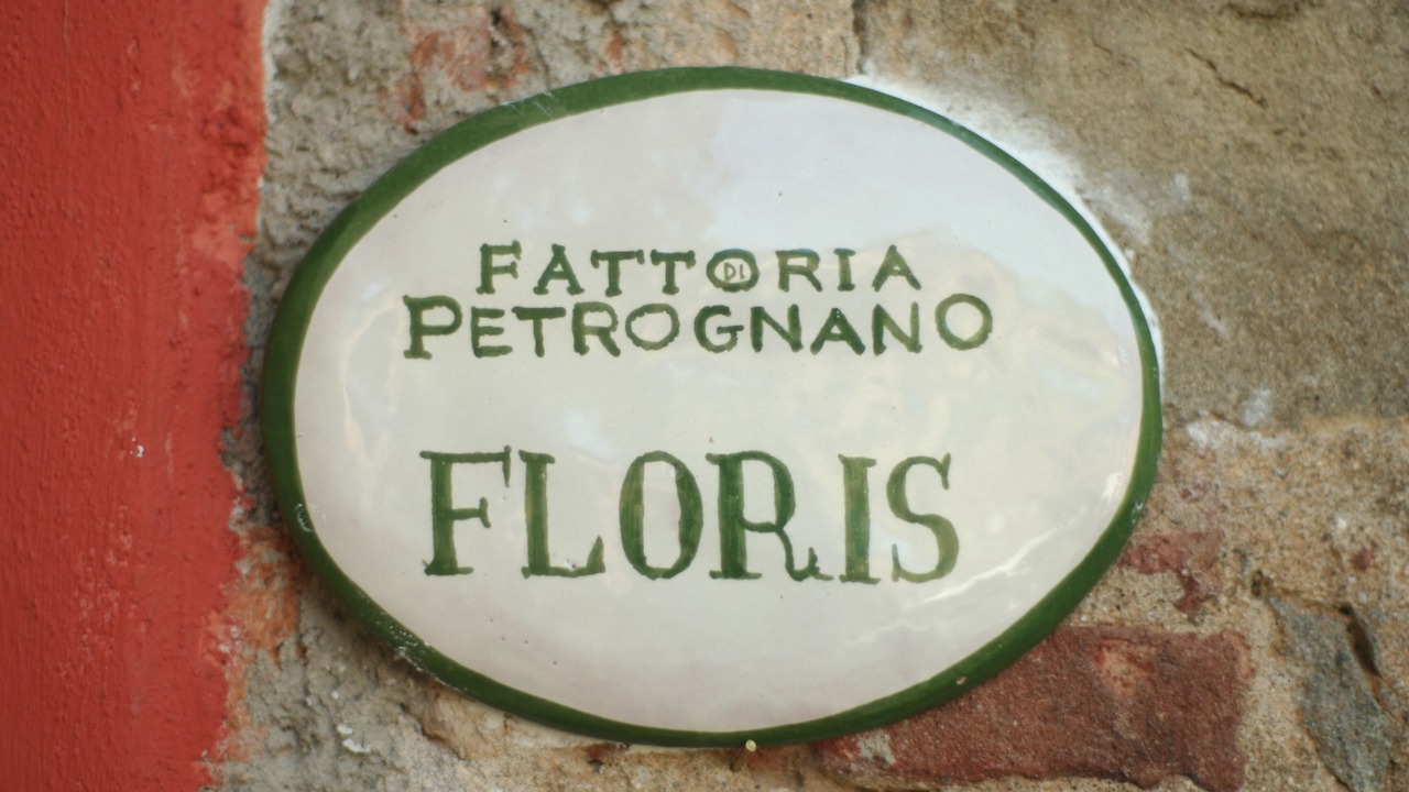 Photo of Others in Petrognano