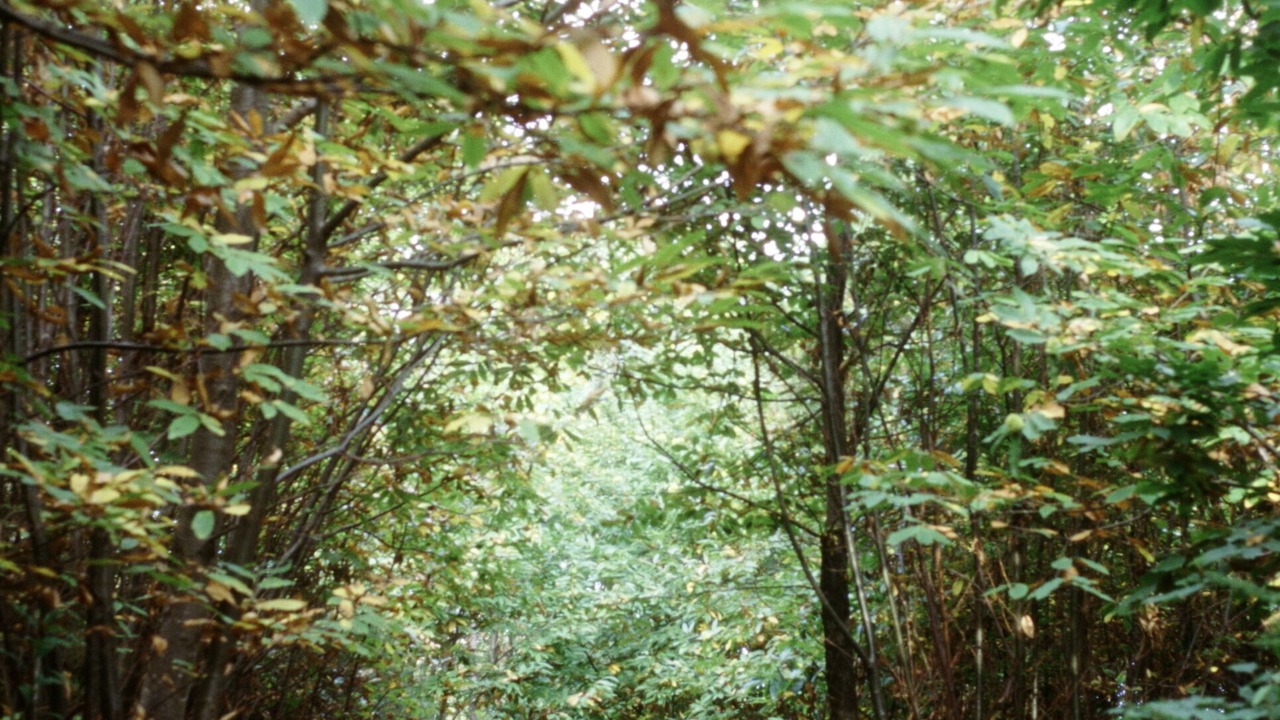 Photo of Outdoor in Petrognano