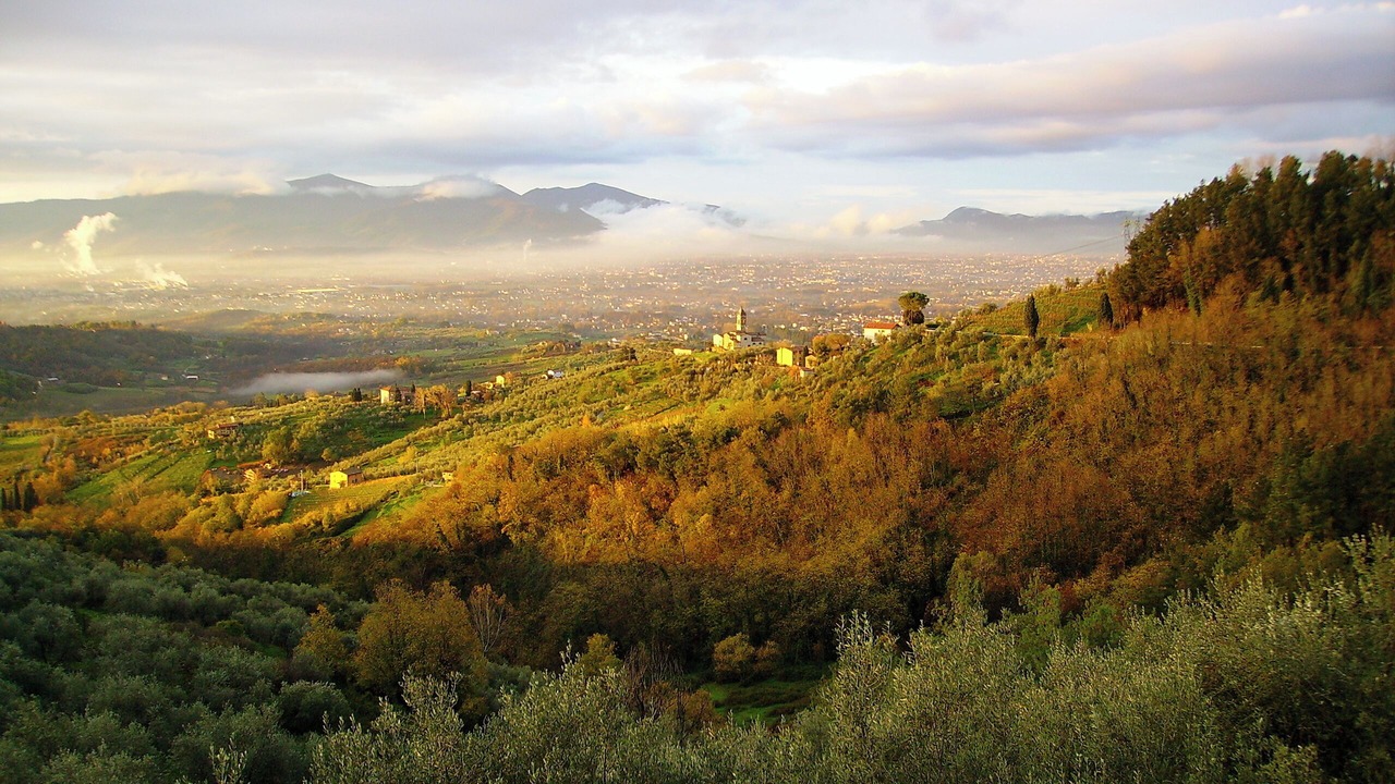 Photo of Outdoor in Petrognano