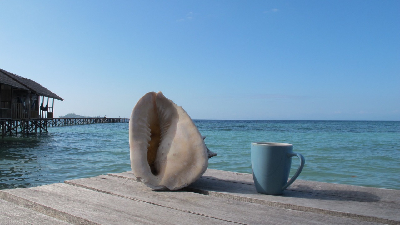 Photo of Outdoor in Waisai