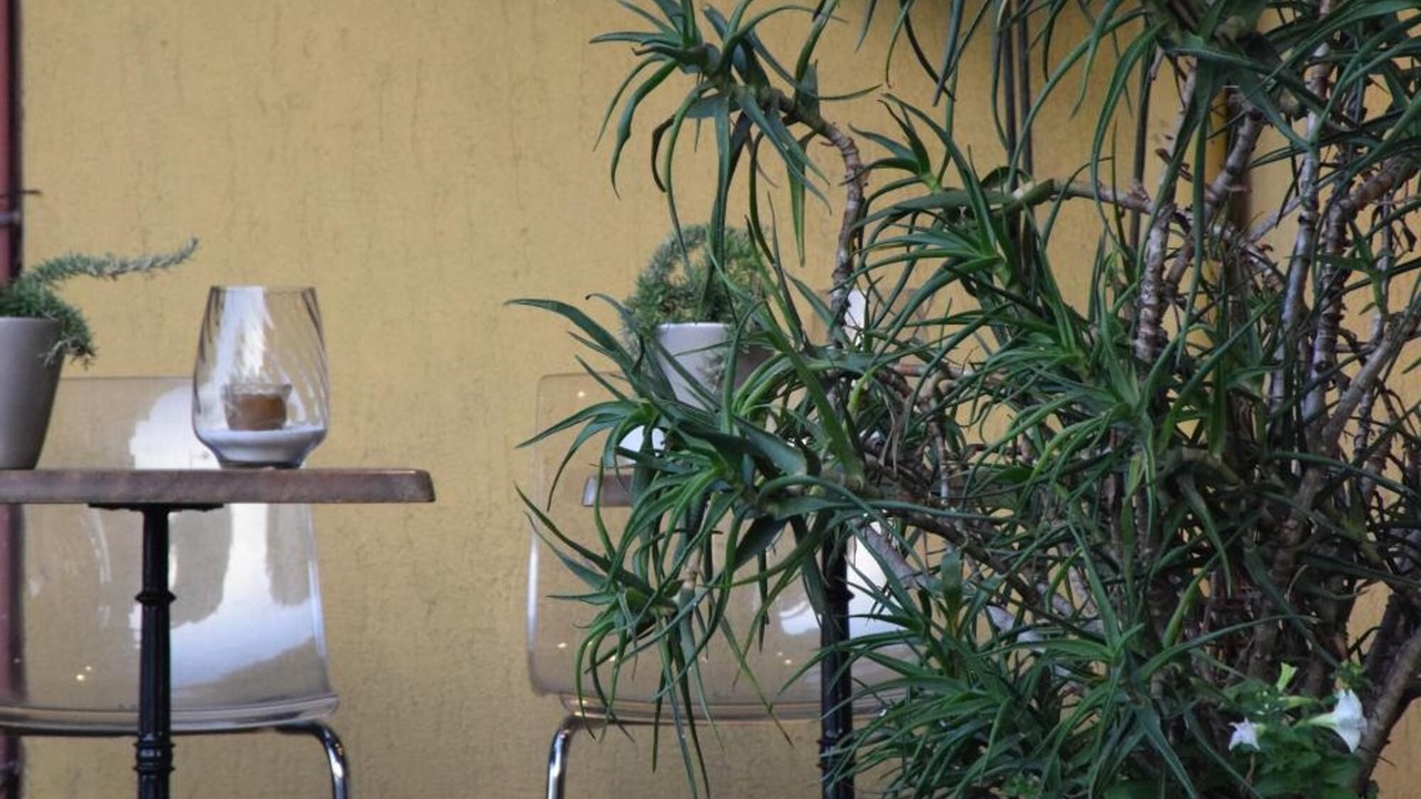 Photo of Outdoor in Grasse