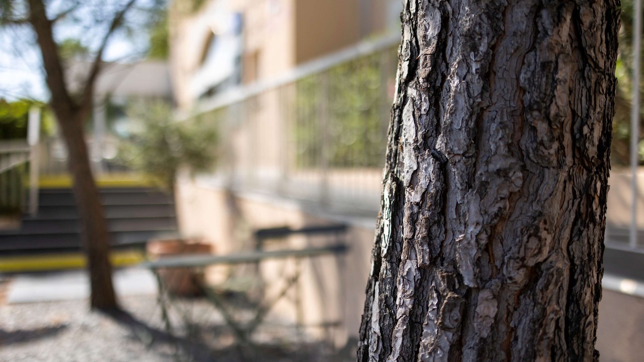 Photo of Outdoor in Frejus