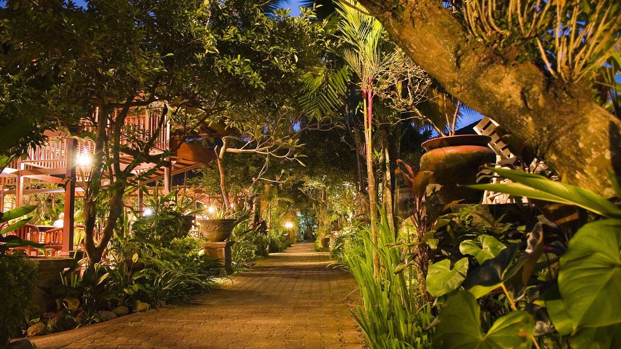 Photo of Outdoor in Mas