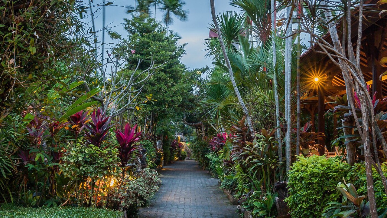 Photo of Outdoor in Mas