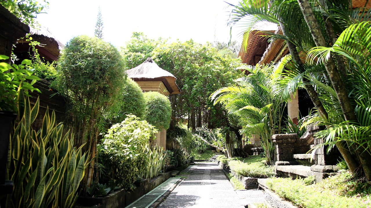 Photo of Outdoor in Dyanapura
