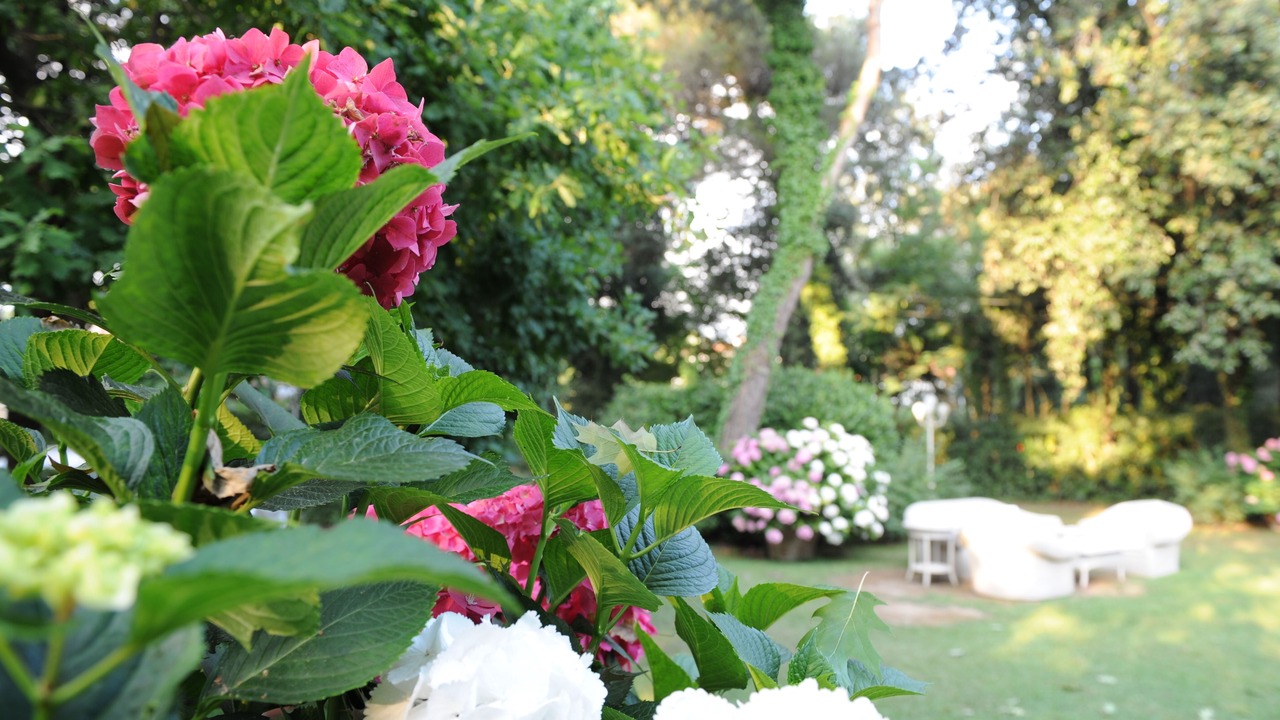 Photo of Outdoor in Ronchi