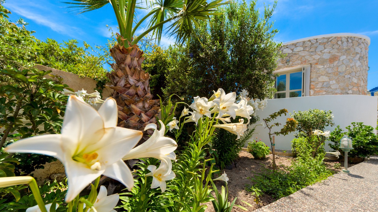 Photo of Outdoor in Akrotiri