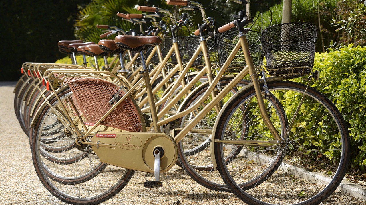 Photo of Outdoor in Forte dei Marmi