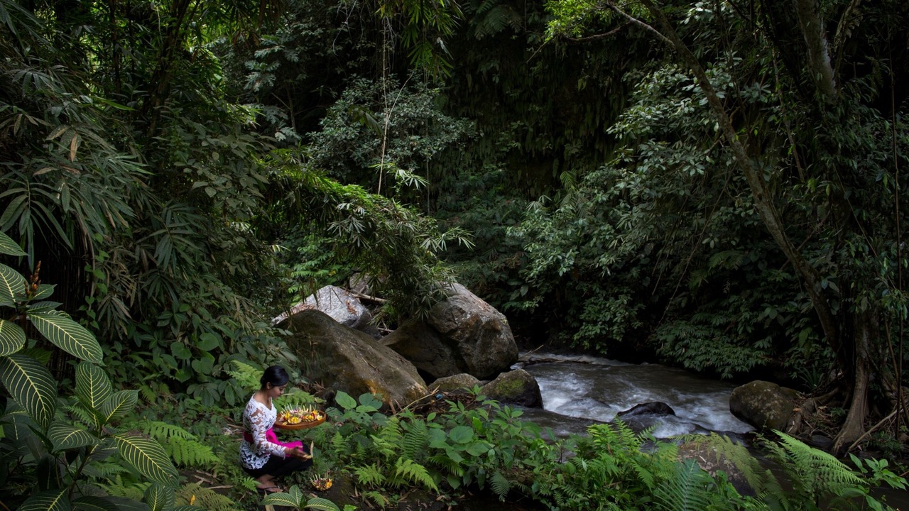 Photo of Others in Payangan