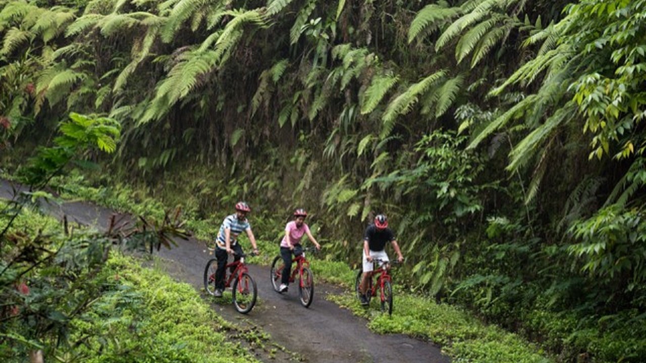 Photo of Outdoor in Payangan