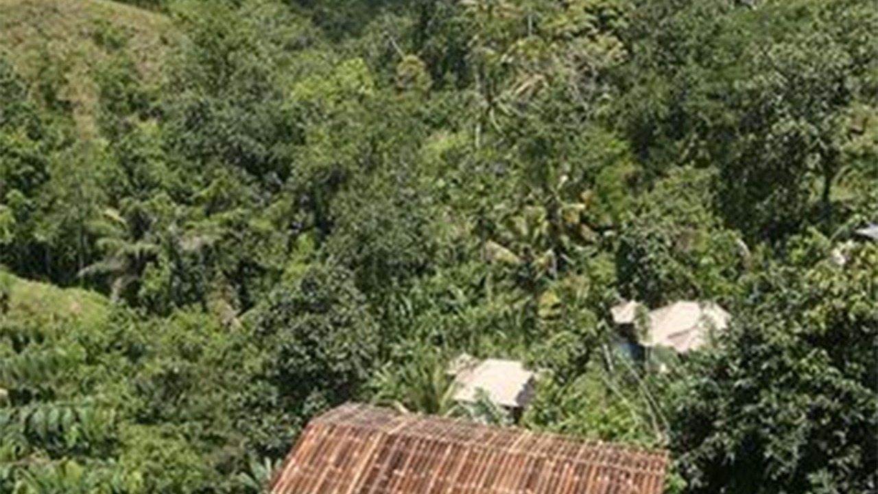 Photo of Outdoor in Payangan