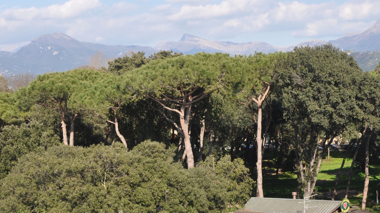 Photo of Outdoor in Viareggio