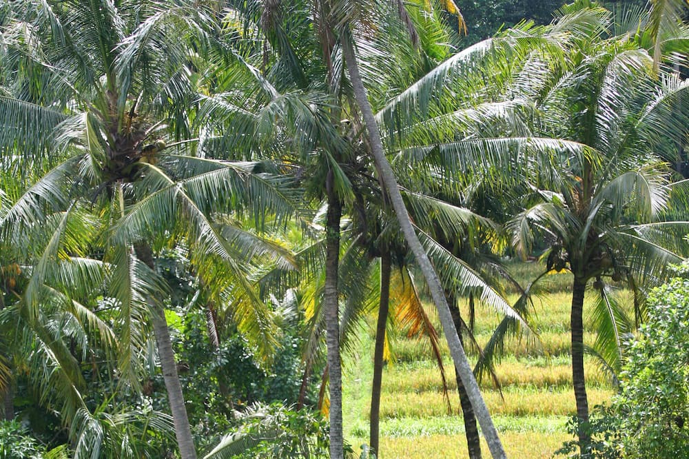 Photo of Outdoor in Bengkel