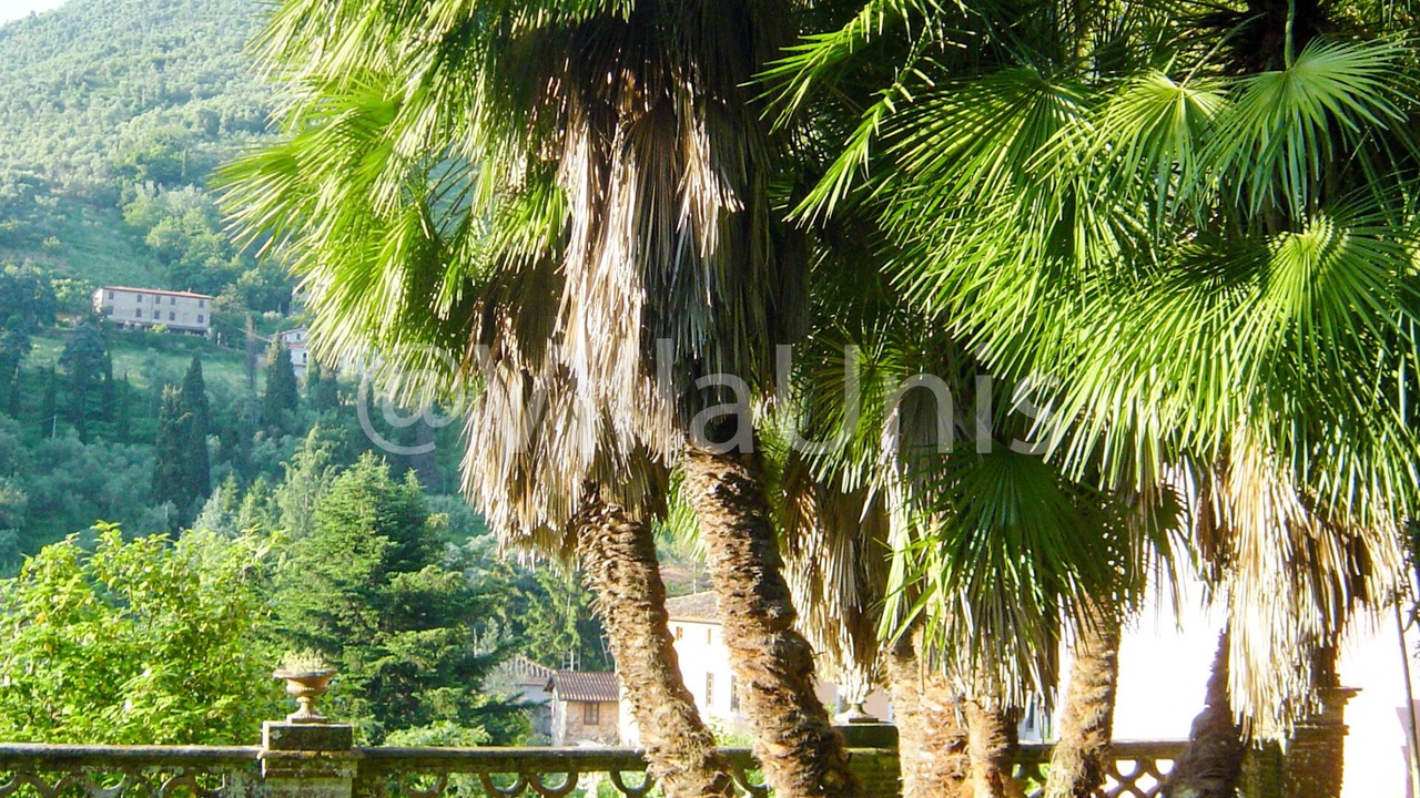 Photo of Outdoor in Nocchi