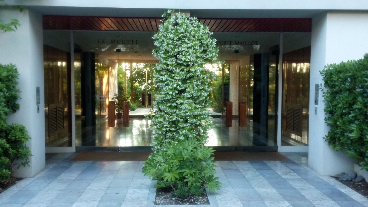 Photo of Outdoor in Cimiez