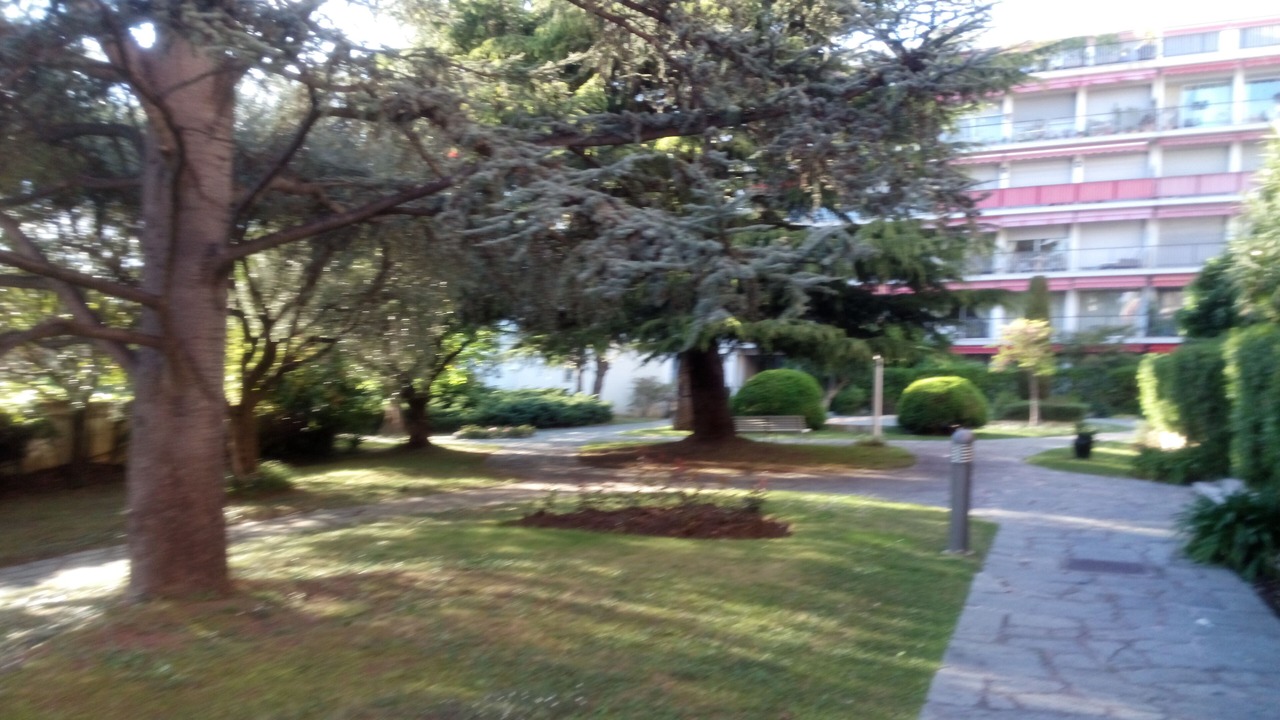 Photo of Outdoor in Cimiez